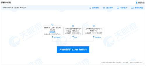 錘子科技再陷服務合同糾紛，百元執行背后的企業困境與警示